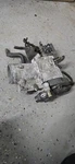 Oem 1997 Lexus GS300 SC300 Supra Throttle Body Assembly 22200-461180. Fixed Price $59.99.
