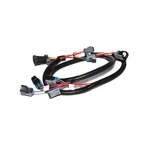Fast Fuel Injection Harness 301209; For Chevy Ls-series. Fixed Price $169.95.