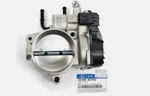 351003C700 Oem Throttle Body Assy For Hyundai Santa Fe Sorento Sedona Low Price. Fixed Price $155.74.