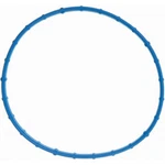 61438 Felpro Throttle Body Gasket For F150 Truck Ram F250 F350 Explorer Cherokee. Fixed Price $19.19.