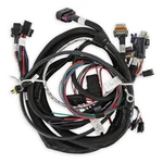Holley Efi 558-112 Terminator Main Wiring Harness-tbi,lsx, 58X. Fixed Price $628.95.