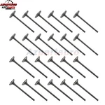 Intake Exhaust Valves Set For Chrysler 200 300 Town & Country Dodge Journey. Fixed Price $63.77.