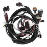 Holley Efi 558-112 Main Engine Harness For 58X Ls W/ Tbi. Fixed Price $539.95.