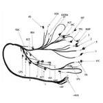 For Honda Acura K-swap Crx Ek Eg Rsx Base Civic Tucked Engine Wire Harness Us. Fixed Price $95.16.