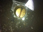 09 10 Jaguar Xf Throttle Body Valve Assembly 4.2 Liter. Fixed Price $167.39.