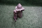 2017 Ford Fusion Starter Motor 67K Miles Oem 380335525. Fixed Price $42.37.